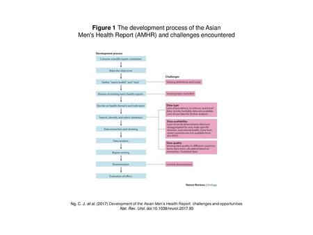 Figure 1 The development process of the Asian