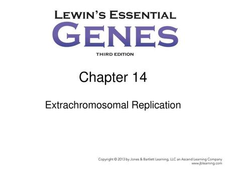 Chapter 14 Extrachromosomal Replication