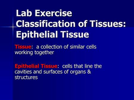 Lab Exercise Classification of Tissues: Epithelial Tissue