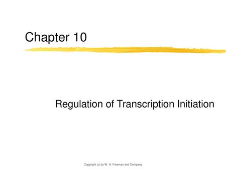 Regulation of Transcription Initiation