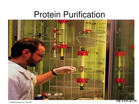 Protein Purification Fig. 5-CO, p.113