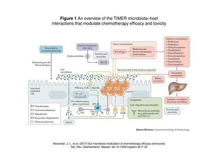 Figure 1 An overview of the TIMER microbiota–host