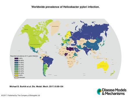 Worldwide prevalence of Helicobacter pylori infection.