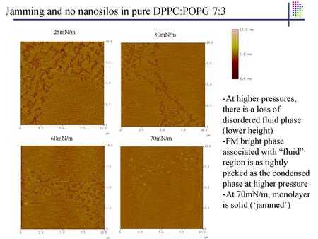 Jamming and no nanosilos in pure DPPC:POPG 7:3