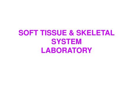 SOFT TISSUE & SKELETAL SYSTEM LABORATORY