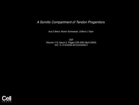 A Somitic Compartment of Tendon Progenitors