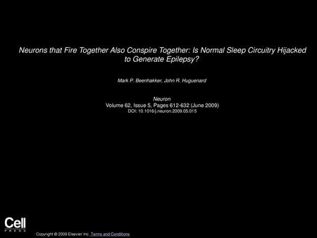 Neurons that Fire Together Also Conspire Together: Is Normal Sleep Circuitry Hijacked to Generate Epilepsy?  Mark P. Beenhakker, John R. Huguenard  Neuron 