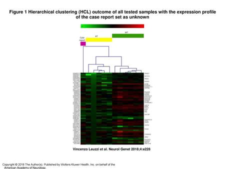 Figure 1 Hierarchical clustering (HCL) outcome of all tested samples with the expression profile of the case report set as unknown Hierarchical clustering.