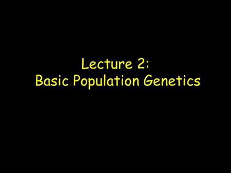 Lecture 2: Basic Population Genetics