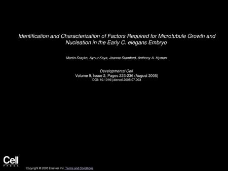 Identification and Characterization of Factors Required for Microtubule Growth and Nucleation in the Early C. elegans Embryo  Martin Srayko, Aynur Kaya,