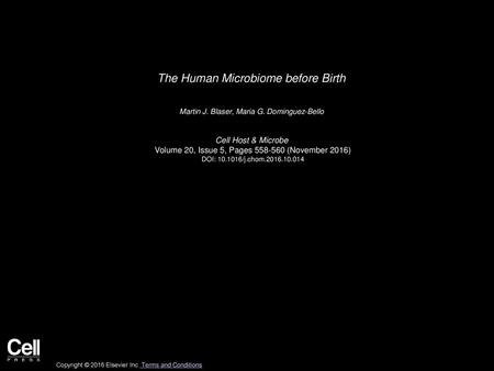 The Human Microbiome before Birth