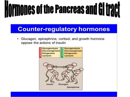 A or alpha cells, secrete glucagon. B or beta cells, secrete insulin. The pancreas is a two different organs contained within one structure:-  Exocrine.