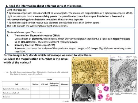 A C B D 1. Read the information about different sorts of microscope.