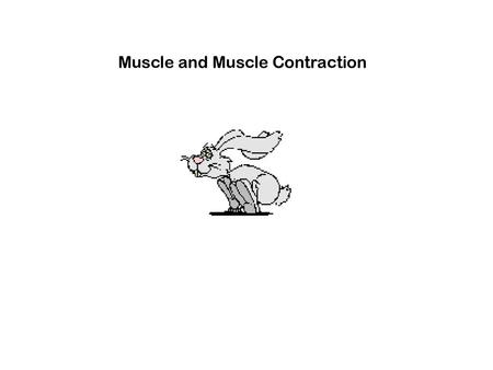 Muscle and Muscle Contraction