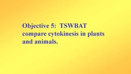 Objective 5: TSWBAT compare cytokinesis in plants and animals.