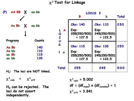 Relationship between Genotype and Phenotype