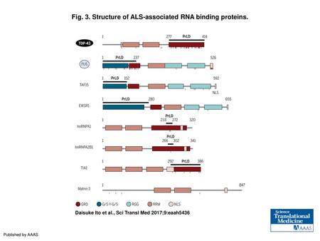 Fig. 3. Structure of ALS-associated RNA binding proteins.