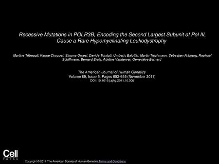 Recessive Mutations in POLR3B, Encoding the Second Largest Subunit of Pol III, Cause a Rare Hypomyelinating Leukodystrophy  Martine Tétreault, Karine.