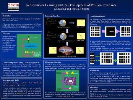 Sensorimotor Learning and the Development of Position Invariance