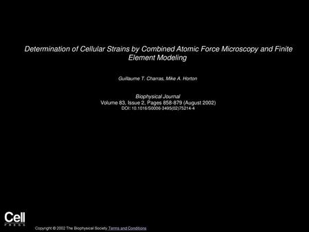 Guillaume T. Charras, Mike A. Horton  Biophysical Journal 