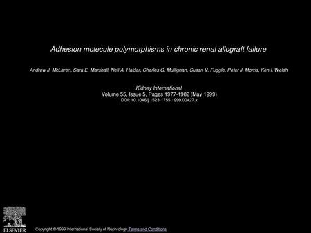 Adhesion molecule polymorphisms in chronic renal allograft failure