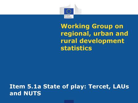 Working Group on regional, urban and rural development statistics