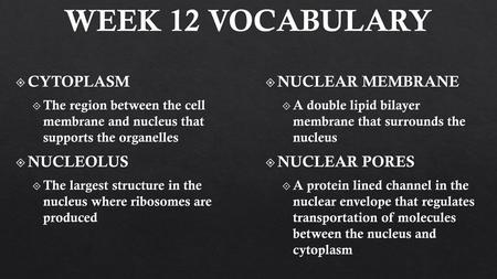 WEEK 12 VOCABULARY CYTOPLASM NUCLEOLUS NUCLEAR MEMBRANE NUCLEAR PORES