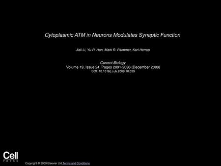 Cytoplasmic ATM in Neurons Modulates Synaptic Function