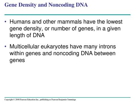 Gene Density and Noncoding DNA