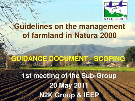 GUIDANCE DOCUMENT - SCOPING 1st meeting of the Sub-Group