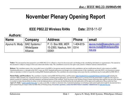 November Plenary Opening Report