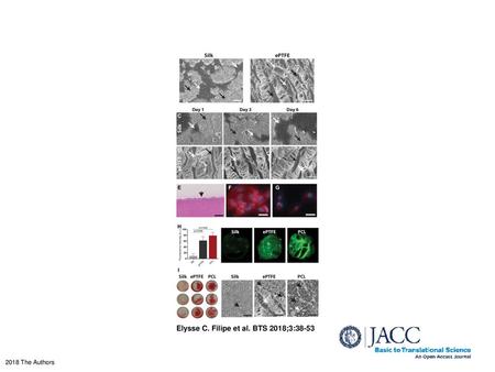 Elysse C. Filipe et al. BTS 2018;3:38-53