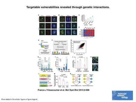 Targetable vulnerabilities revealed through genetic interactions.