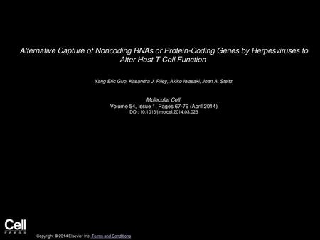 Alternative Capture of Noncoding RNAs or Protein-Coding Genes by Herpesviruses to Alter Host T Cell Function  Yang Eric Guo, Kasandra J. Riley, Akiko.