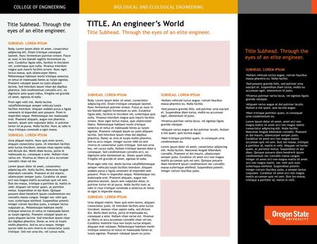 TITLE. An engineer’s World