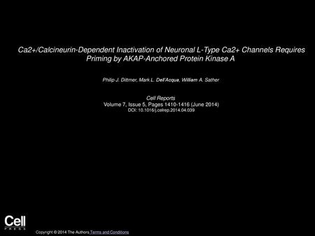 Ca2+/Calcineurin-Dependent Inactivation of Neuronal L-Type Ca2+ Channels Requires Priming by AKAP-Anchored Protein Kinase A  Philip J. Dittmer, Mark L.