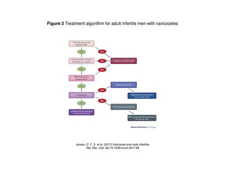 Figure 3 Treatment algorithm for adult infertile men with varicoceles