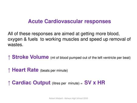 Acute Cardiovascular responses