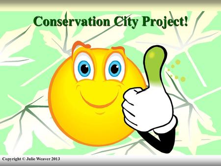 Conservation City Project!