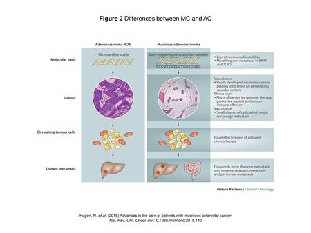 Figure 2 Differences between MC and AC