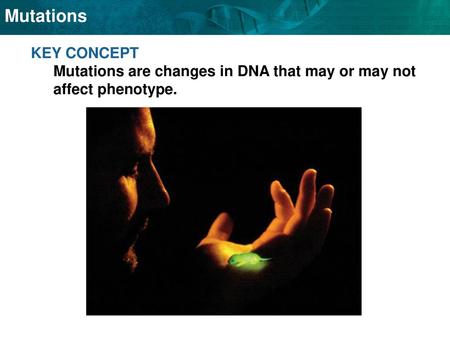 Some mutations affect a single gene, while others affect an entire chromosome.