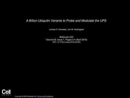 A Billion Ubiquitin Variants to Probe and Modulate the UPS