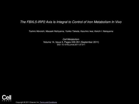 The FBXL5-IRP2 Axis Is Integral to Control of Iron Metabolism In Vivo