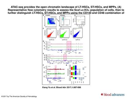 ATAC-seq provides the open chromatin landscape of LT-HSCs, ST-HSCs, and MPPs. (A) Representative flow cytometry results to assess the Sca1+c-Kit+ population.