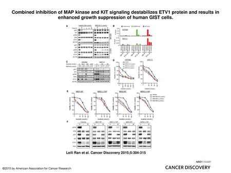 Combined inhibition of MAP kinase and KIT signaling destabilizes ETV1 protein and results in enhanced growth suppression of human GIST cells. Combined.