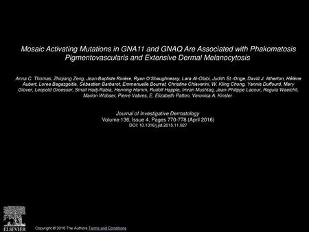 Mosaic Activating Mutations in GNA11 and GNAQ Are Associated with Phakomatosis Pigmentovascularis and Extensive Dermal Melanocytosis  Anna C. Thomas,