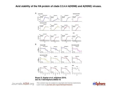 Acid stability of the HA protein of clade