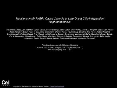 Mutations in MAPKBP1 Cause Juvenile or Late-Onset Cilia-Independent Nephronophthisis  Maxence S. Macia, Jan Halbritter, Marion Delous, Cecilie Bredrup,