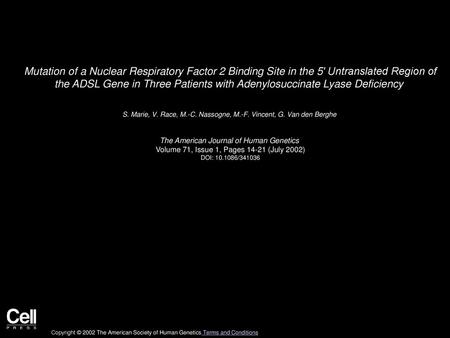 Mutation of a Nuclear Respiratory Factor 2 Binding Site in the 5′ Untranslated Region of the ADSL Gene in Three Patients with Adenylosuccinate Lyase Deficiency 