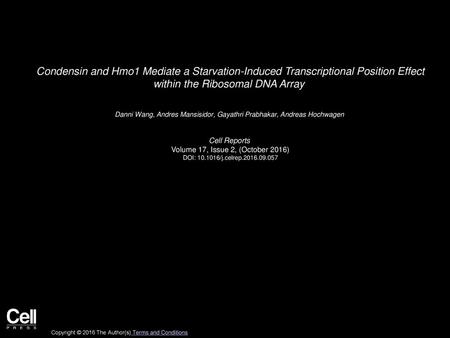 Condensin and Hmo1 Mediate a Starvation-Induced Transcriptional Position Effect within the Ribosomal DNA Array  Danni Wang, Andres Mansisidor, Gayathri.